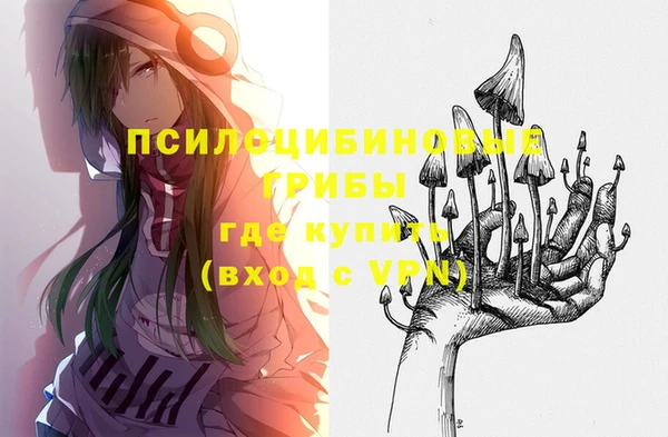 молекула духа Магас
