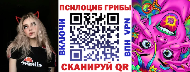 сколько стоит  Юрьев-Польский  OMG как войти  Псилоцибиновые грибы ЛСД 